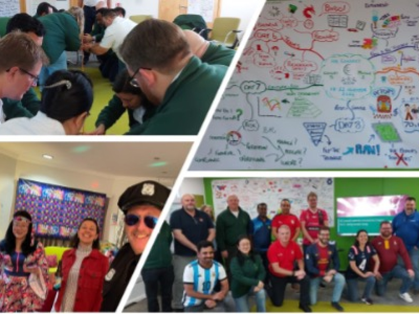 flockofcats thriving adapting teaming andy james HE Connect Leadership Development Programme Cohort 5