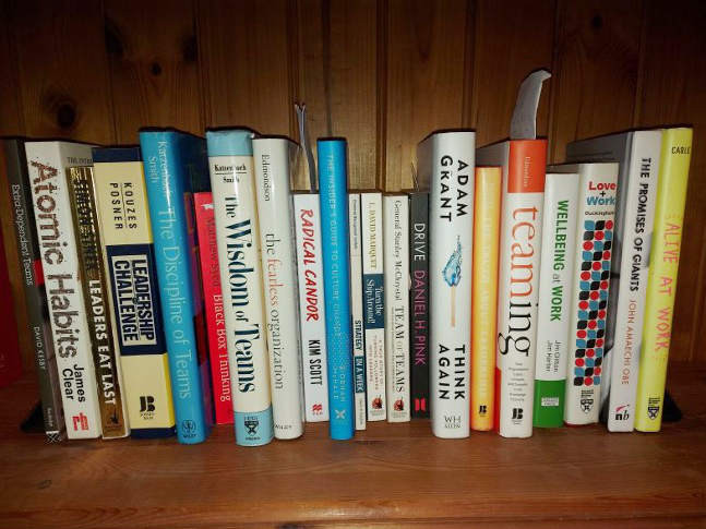 Learning from 21 years – 21 books flockofcats andy james