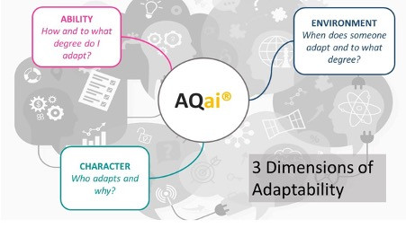 flockofcats The 3 Dimensions of Adaptability andy james