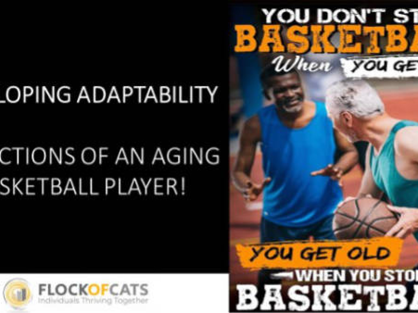 flockofcats developing adaptability basketball andy james