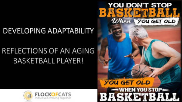 flockofcats developing adaptability basketball andy james